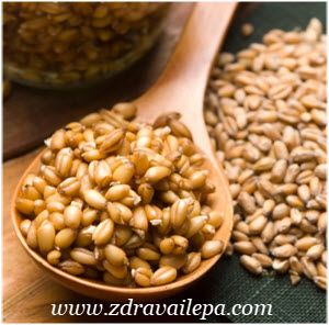 pšenične klice kako se koriste u ishrani ljudi