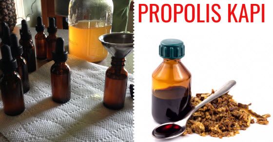 Propolis prosztata alkoholfogyasztására